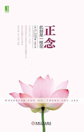 《正念:此刻是一枝花》 封面