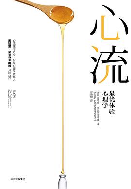《心流》 封面